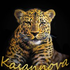 Avatar for Kasannova