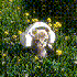 Avatar for greyware_n