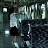 Avatar for ADROMICFMS99