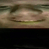 Avatar för undernose