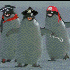Avatar für socialize_it