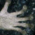 lemurfingers için avatar
