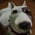 Avatar for Silvehr_