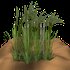 Avatar for FutureFunkRocker