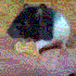 Avatar für BlackKat666
