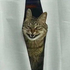 SIRIUSACMA için avatar