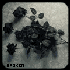 Avatar for DarkMelancholy