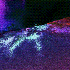 Avatar for devpr