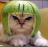 gordmo さんのアバター