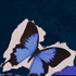 Avatar for xyye