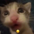 Avatar for Plantfucker98