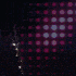 Avatar for audemarspgt