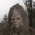 Avatar for waszumgeier