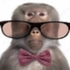 Avatar for Natethenutter