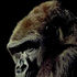 Avatar for marconi119