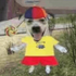 Avatar for BlickyKong