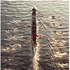 starboard13 的头像