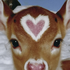 Avatar for larightuleftme