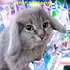 Avatar for soweyz