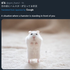 hamsterfreunde 的头像