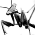 Avatar for craig4044