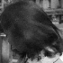 Avatar for necro__666
