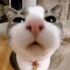 Avatar di User10317065