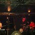 Box Jellyfish のアバター