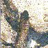 Avatar for Low End Band
