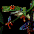 Avatar for Berries6