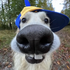 Avatar for CaldinhoDeLixo