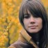 Francoise Hardy のアバター