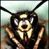 Avatar for Crabro