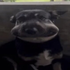 Avatar for m1k43ly