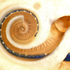 Avatar di snail_INFP