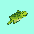 Avatar for Mr_Turtle-