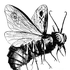 Avatar for grave_stench