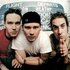 Avatar for blink-182