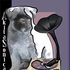 AkitaSonica için avatar