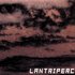 Avatar for Lantriperc