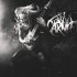 Avatar für Carnifex