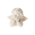 favzclairo 的头像