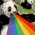 Aurorr 的头像