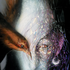 Avatar di DouglasMHeman