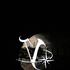 Avatar di cyclxd