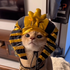 Avatar de Adam_Gangdal