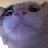 Avatar de Exy-