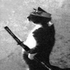 Avatar for Bathorybased457