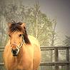 Awatar dla helpme_iamblond
