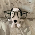 Avatar di ryan_sdjr